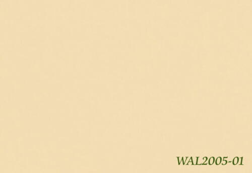 Medistep Wall - 2005-01